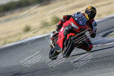 media/Oct-29-2023-Carters at The Track (Sun) [[b2bb4383ab]]/B Plus/1020am (Sunrise)/